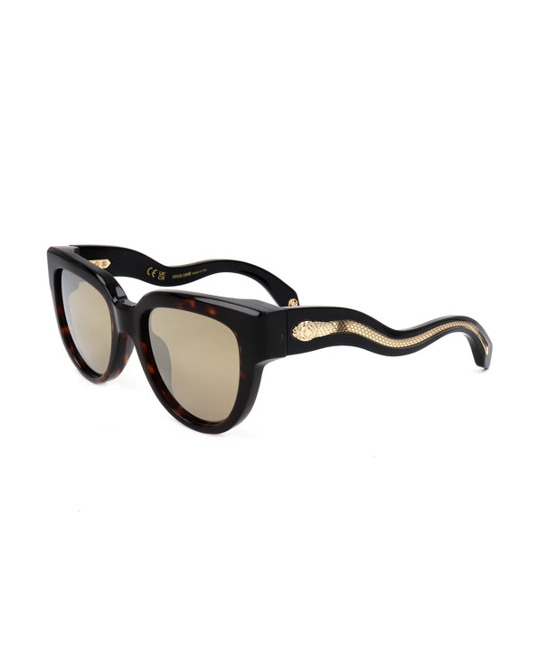 
Occhiale da sole Roberto Cavalli SRC054 - GAFAS DE SOL | Spazio Ottica
