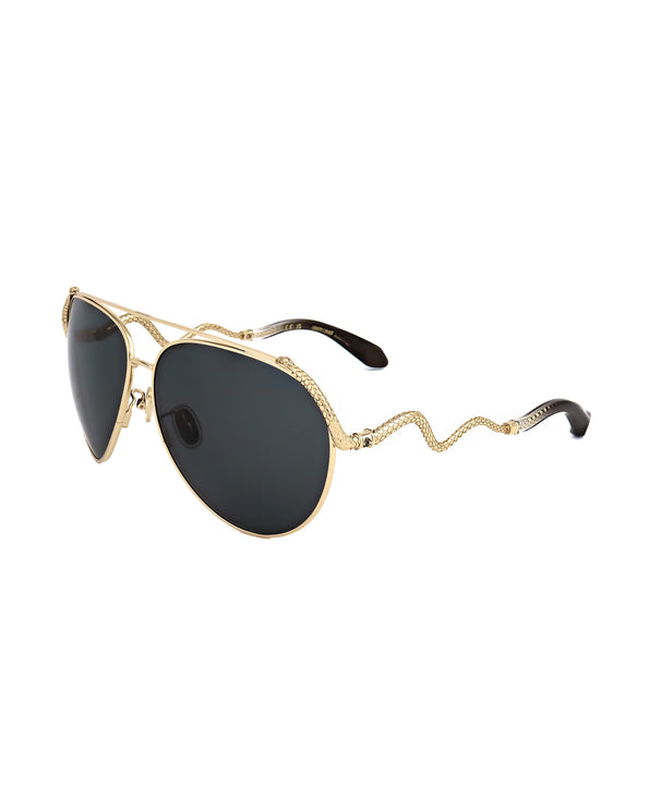 
Occhiale da sole Roberto Cavalli SRC090M - OCCHIALI ORO | Spazio Ottica

