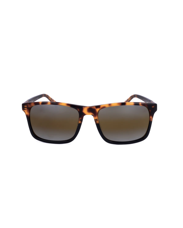 
Occhiale da sole Vuarnet BELVEDERE - MEN'S SUNGLASSES | Spazio Ottica
