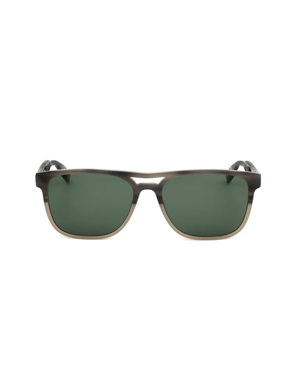 Occhiale da sole Ted Baker TB8207 | Spazio Ottica