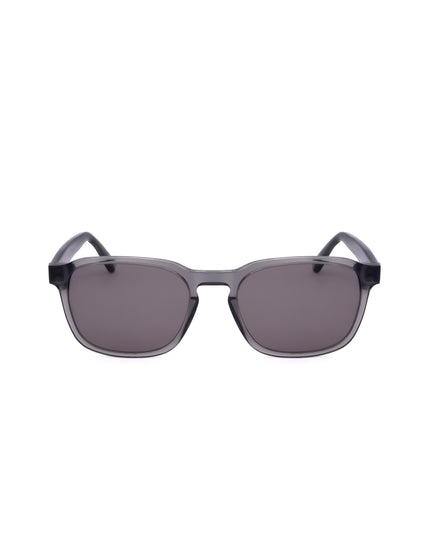 Occhiale da sole Ted Baker TB8246 | Spazio Ottica