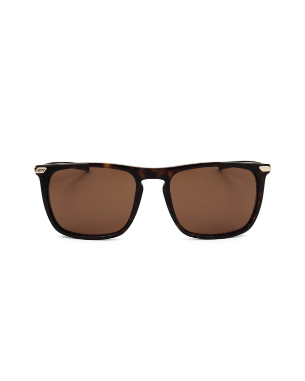 
Occhiali da sole F1 EYEWEAR GOLD COLLECTION da uomo, modello F1S1040 - MEN'S SUNGLASSES | Spazio Ottica
