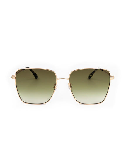 Occhiale da sole Moschino MOS072/G/S | Spazio Ottica