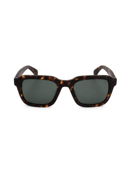 Occhiale da sole Rag-&-Bone RNB5046/G/S | Spazio Ottica