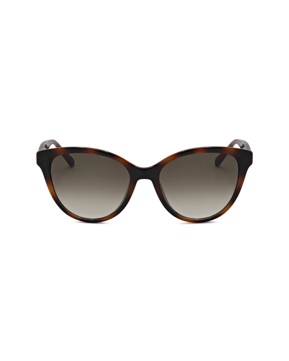 
Occhiale da sole Ferragamo SF1073S - GAFAS DE SOL | Spazio Ottica
